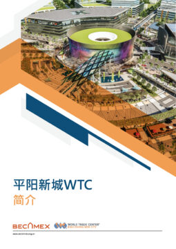 (CHINESE) WTC BROCHURE